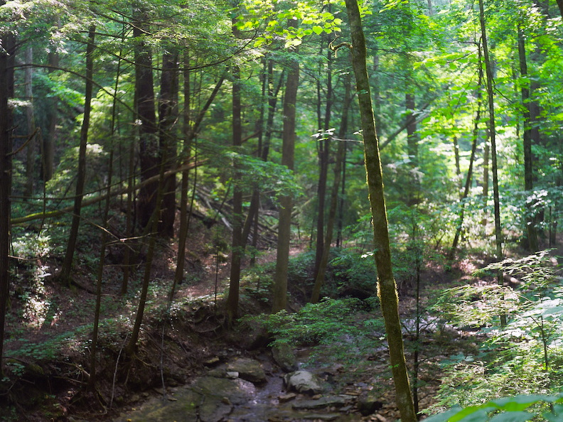 Red River Gorge, June 18, 2010